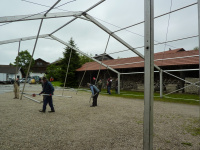 WEB_026.jpg